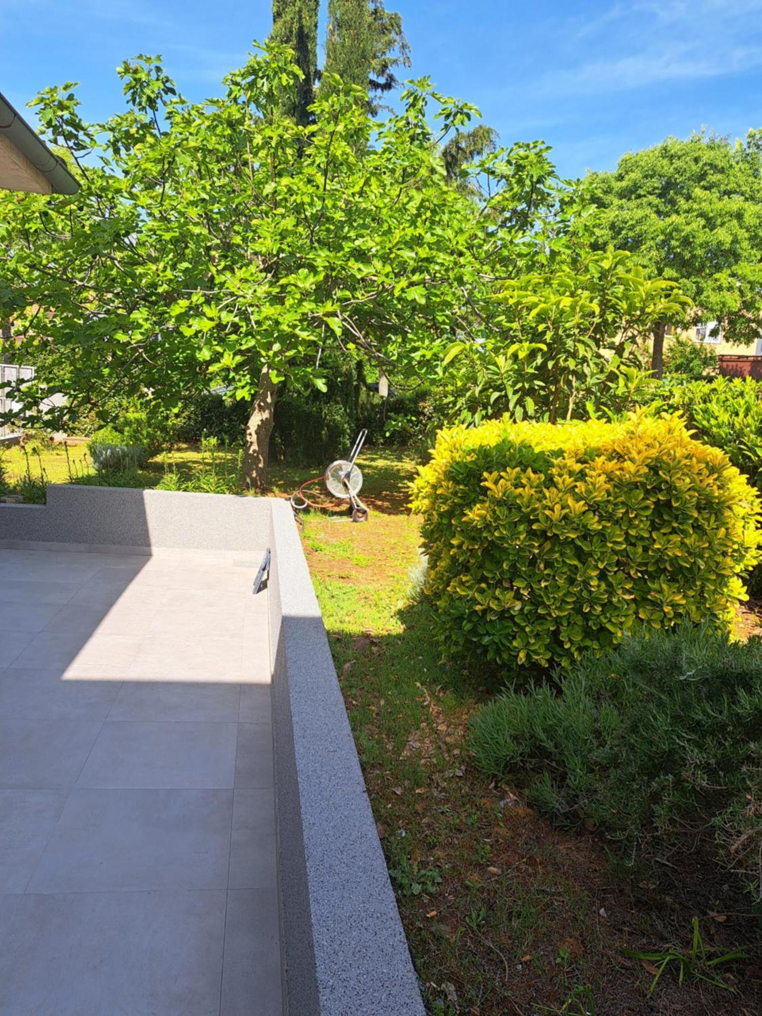 Apartment Elinor 2 روفينج المظهر الخارجي الصورة